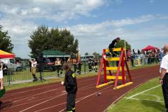 1_IMG-20250531-WA0081