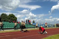 IMG-20250531-WA0061