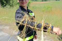 IMG-20260712-WA0011