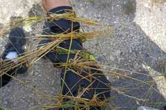 IMG-20260712-WA0016